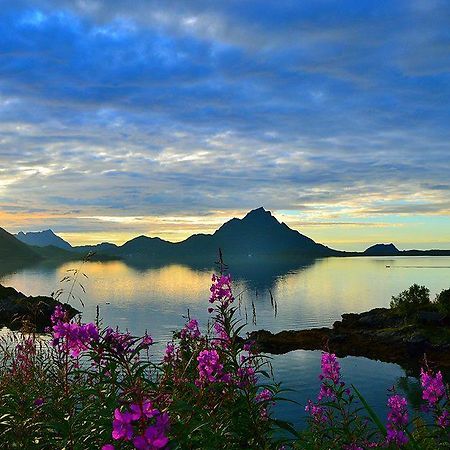 Skjellbogen Hyttegrend Sortland Exteriör bild