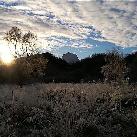 Skjellbogen Hyttegrend Sortland Exteriör bild