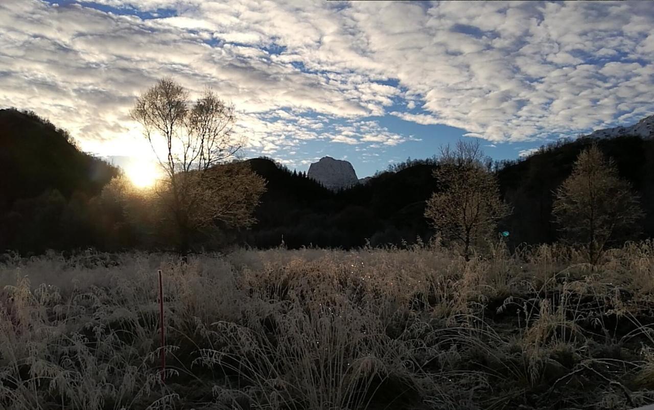 Skjellbogen Hyttegrend Sortland Exteriör bild