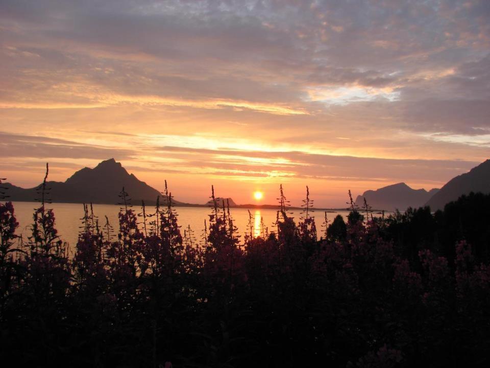 Skjellbogen Hyttegrend Sortland Exteriör bild